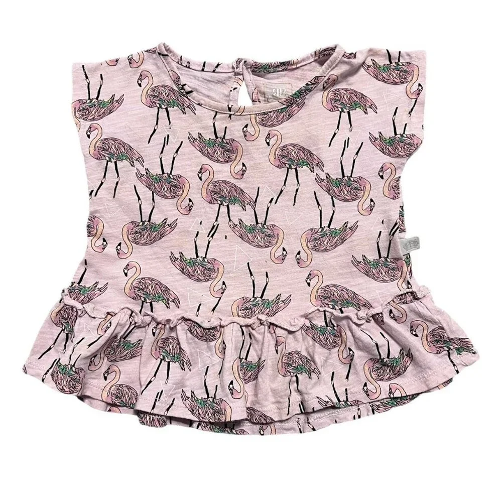 Rosie Pope 12m Flamingo Shorts Set